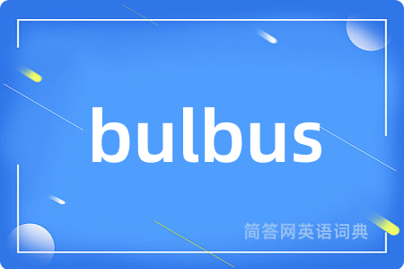 bulbus是什么意思,bulbus的中文翻译 bulbus