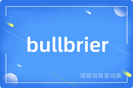 bullbrier