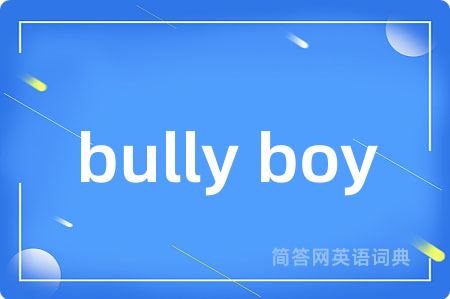 bully boy是什么意思,bully boy的中文翻译 bully boy
