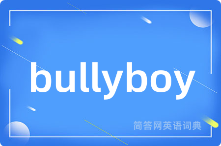 bullyboy是什么意思,bullyboy的中文翻译 bullyboy