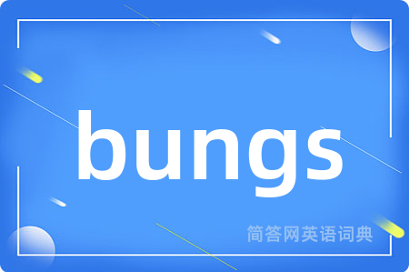 bungs是什么意思,bungs的中文翻译 bungs