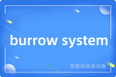 burrow system是什么意思,burrow system的中文翻译 burrow system