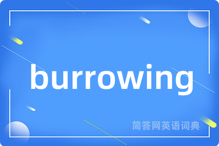 burrowing是什么意思,burrowing的中文翻译 burrowing