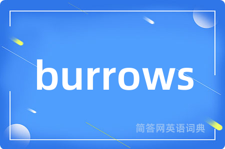 burrows是什么意思,burrows的中文翻译 burrows