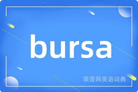 bursa是什么意思,bursa的中文翻译 bursa