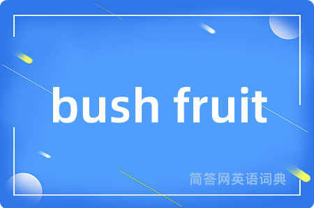 bush fruit