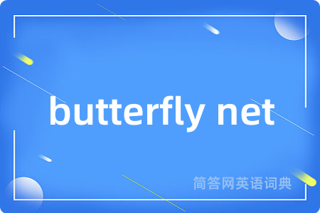 butterfly net