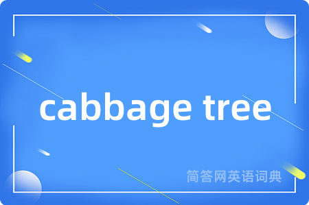 cabbage tree