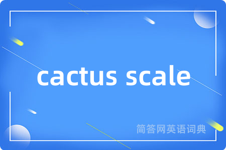 cactus scale