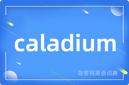 caladium