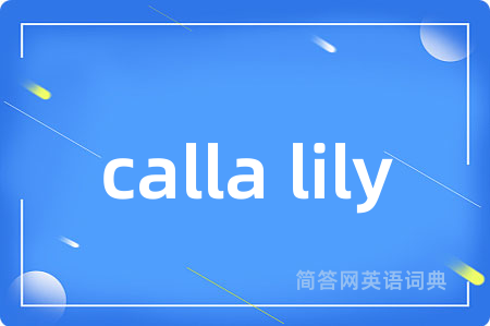calla lily
