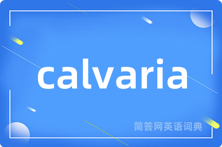 calvaria是什么意思,calvaria的中文翻译 calvaria