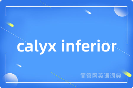 calyx inferior