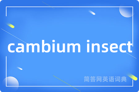cambium insect是什么意思,cambium insect的中文翻译 cambium insect
