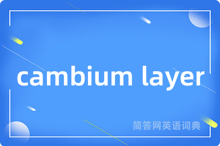 cambium layer是什么意思,cambium layer的中文翻译 cambium layer