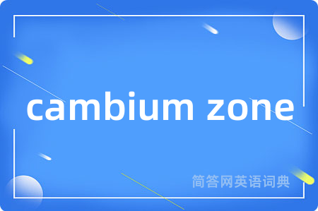 cambium zone