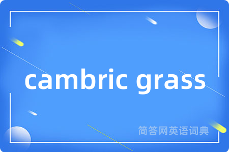 cambric grass是什么意思,cambric grass的中文翻译 cambric grass