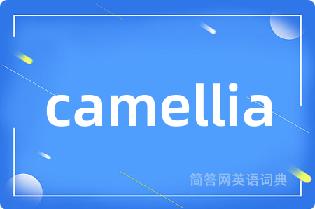 camellia是什么意思,camellia的中文翻译 camellia