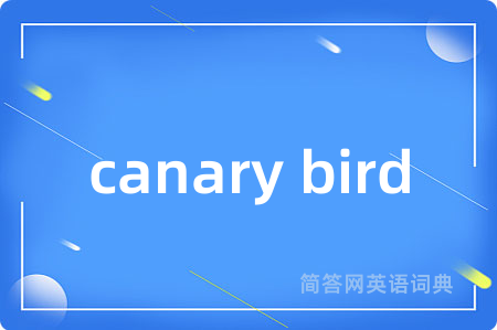 canary bird是什么意思,canary bird的中文翻译 canary bird