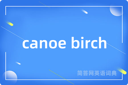 canoe birch是什么意思,canoe birch的中文翻译 canoe birch