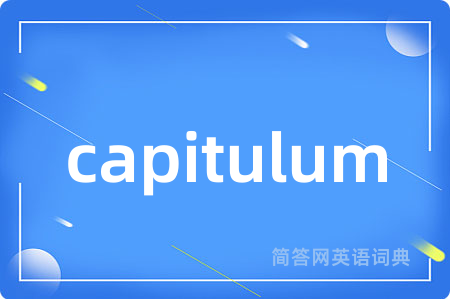 capitulum