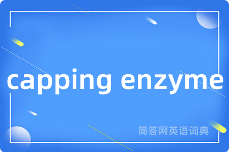 capping enzyme是什么意思,capping enzyme的中文翻译 capping enzyme