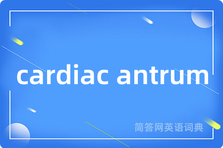 cardiac antrum