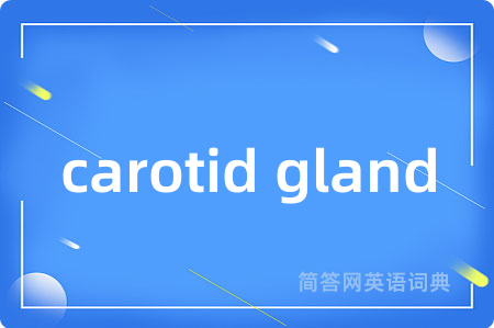 carotid gland