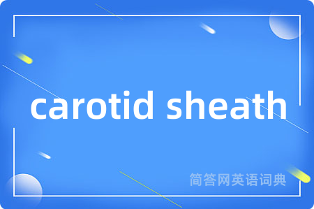 carotid sheath