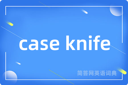 case knife是什么意思,case knife的中文翻译 case knife