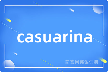 casuarina