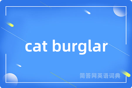 cat burglar是什么意思,cat burglar的中文翻译 cat burglar