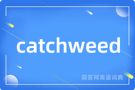 catchweed是什么意思,catchweed的中文翻译 catchweed