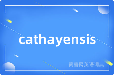 cathayensis
