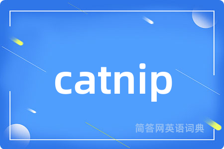 catnip