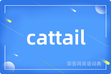 cattail