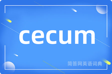 cecum是什么意思,cecum的中文翻译 cecum