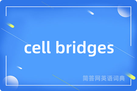 cell bridges