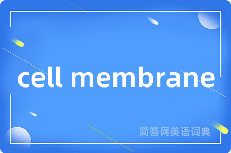 cell membrane