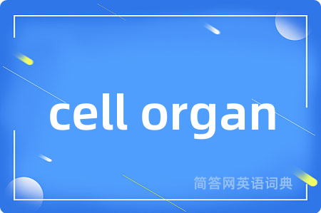 cell organ是什么意思,cell organ的中文翻译 cell organ