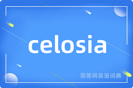 celosia