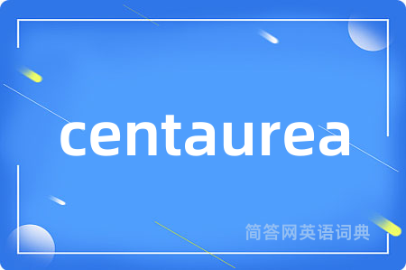 centaurea