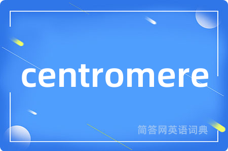 centromere是什么意思,centromere的中文翻译 centromere