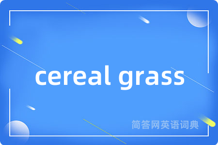 cereal grass