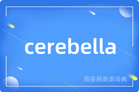 cerebella