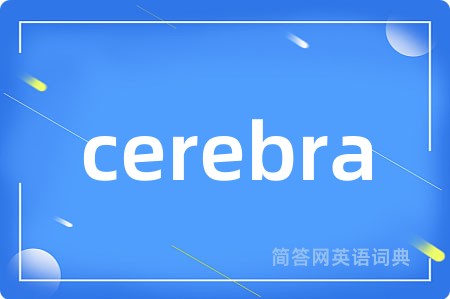cerebra