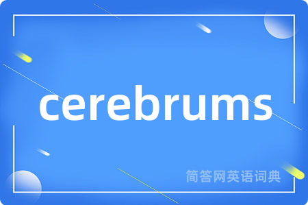 cerebrums