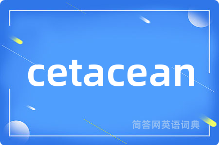 cetacean是什么意思,cetacean的中文翻译 cetacean