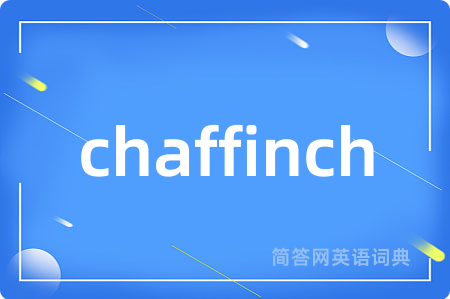 chaffinch
