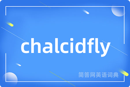 chalcidfly